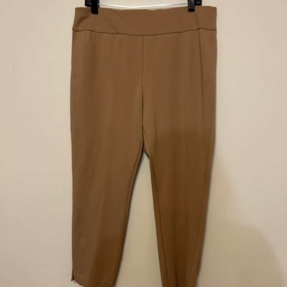 Express Classic Tan Women's Pull-On Pants